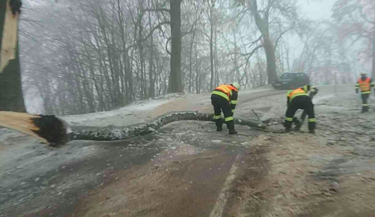 FOTO: Hasiči od oběda vyjížděli v kraji už k osmi popadaným stromům, na vině je tíha ledové krusty na nich