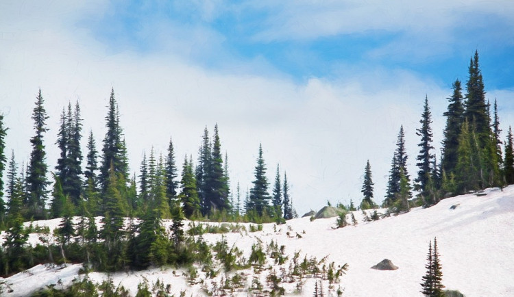 ilustrační fotografie