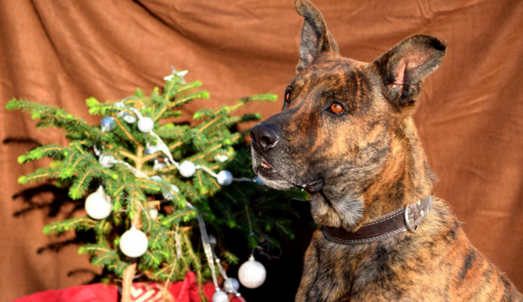 15451259630525-124-48372210-626462594435563-5859761621533982720-n