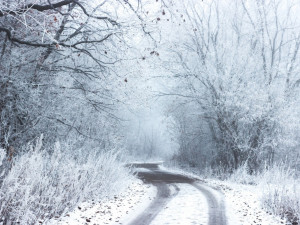 Po nočním sněžení leží na silnicích v Olomouckém kraji rozbředlý sníh. Silničáři varují před silným větrem