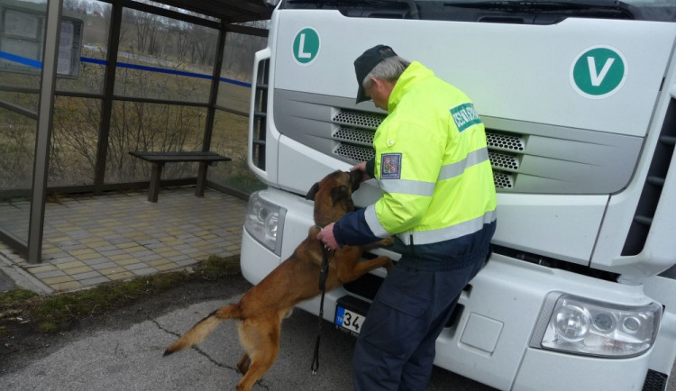 ilustrační fotografie