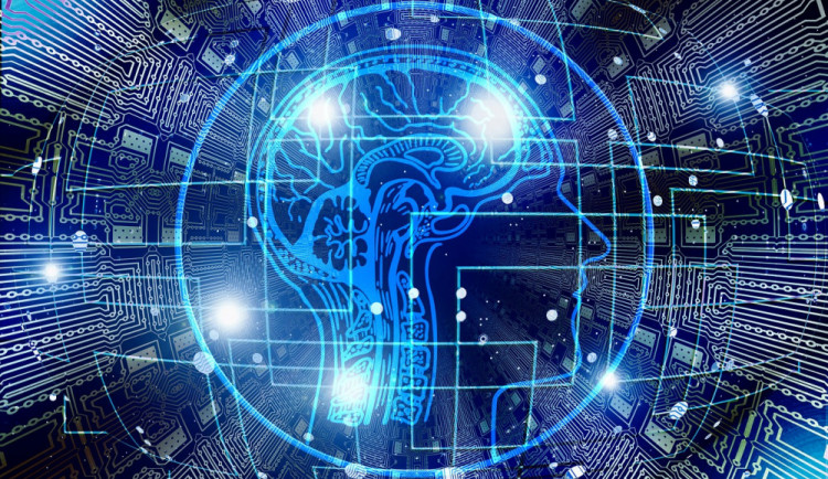 Jak se zbavit stresu a porozumět neuronům? V rámci Týdne mozku odpoví Pevnost poznání