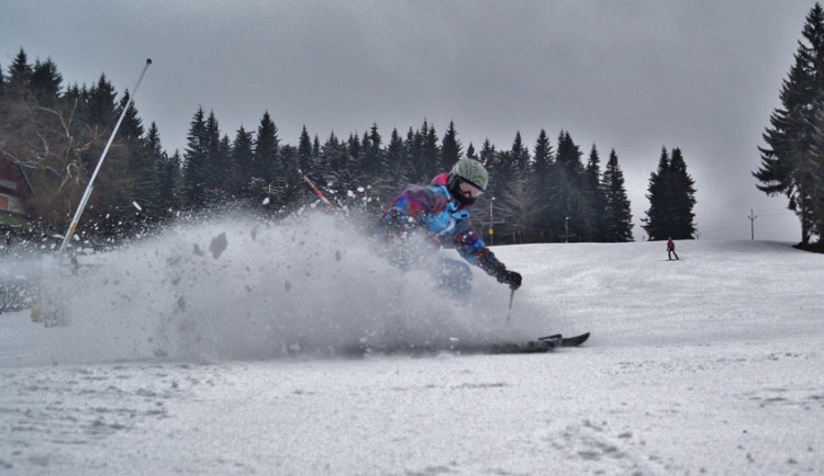 ilustrační fotografie