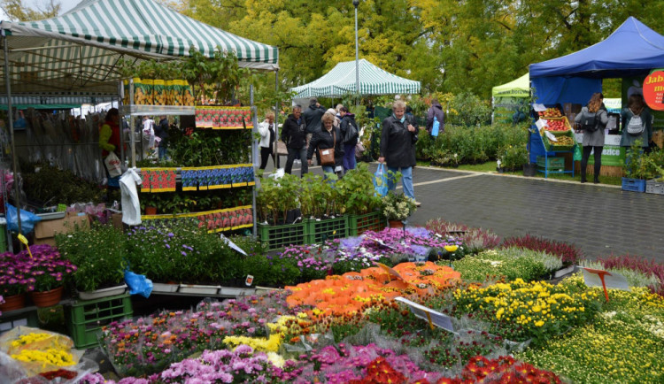 SOUTĚŽ: Vyhrajte vstupenky na Jarní Floru v Olomouci