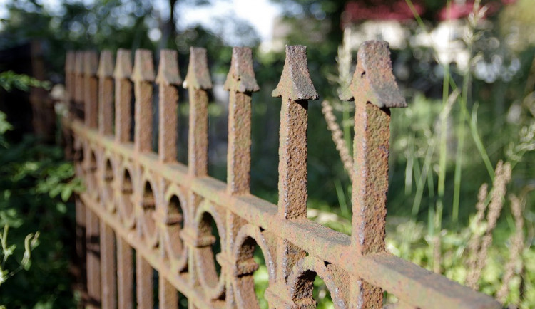 ilustrační fotografie