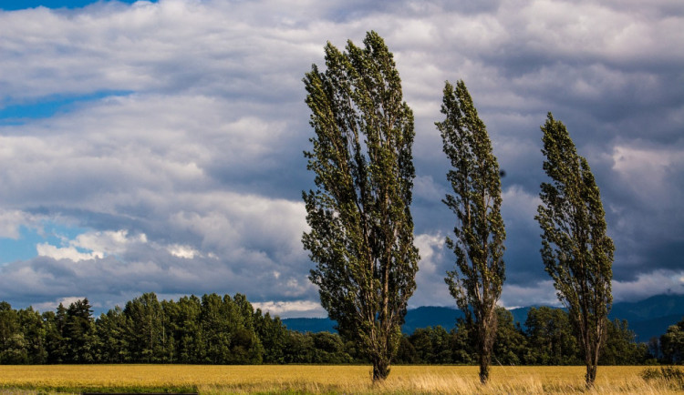 Naše území zasáhne silný, nárazový vítr. Výstraha platí od dnešního poledne do půlnoci