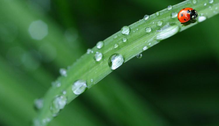 POČASÍ NA PÁTEK: Nejdříve slunce, odpoledne déšť