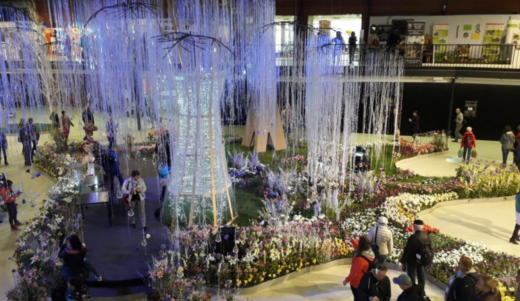 FOTO/VIDEO: Jarní Flora okouzlila desítky tisíc návštěvníků