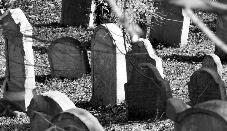 ilustrační fotografie