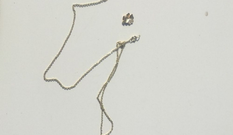 Mladá dívka se pohádala s bývalým přítelem, který ji udeřil a strhl z krku řetízek. Muž skončil na záchytce