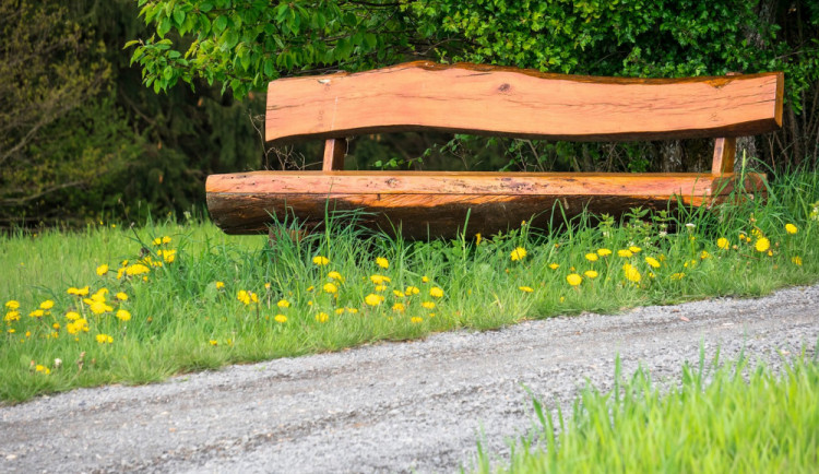 Zloděj ukradl z lesního odpočívadla dřevěnou lavičku. Do vězení může jít až na dva roky