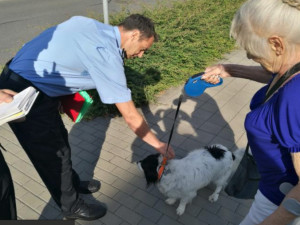 Strážníci se zaměřili na páníčky psů v rámci kampaně "Pes za to nemůže"