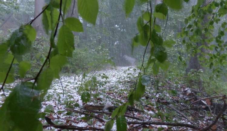 Meteorologové varují před silnými bouřkami, kroupami a nárazovým větrem
