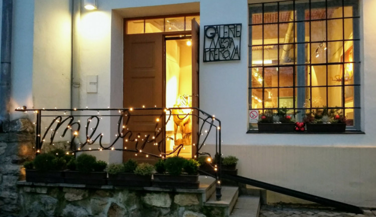 Olomoucká malířka Pešáková bude vystavovat v přerovské galerii