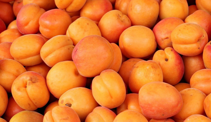 Zloděj ukradl z ovocného sadu půl tuny meruněk. Napáchal tak škodu za několik tisíc