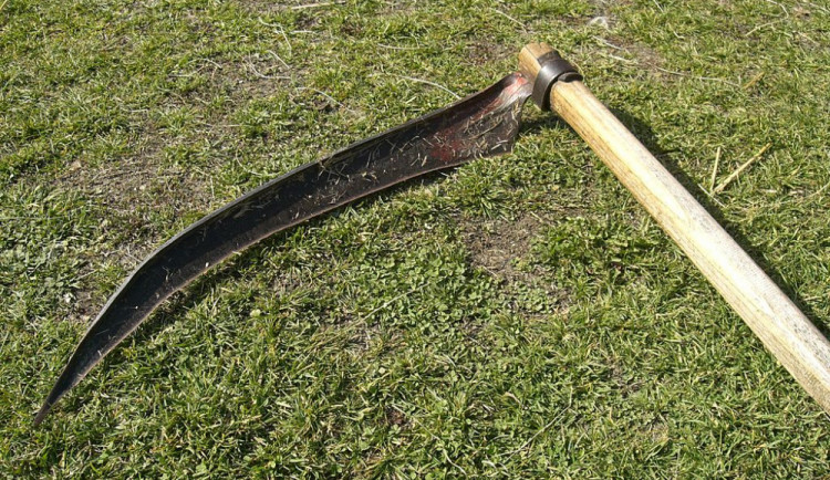 ilustrační fotografie