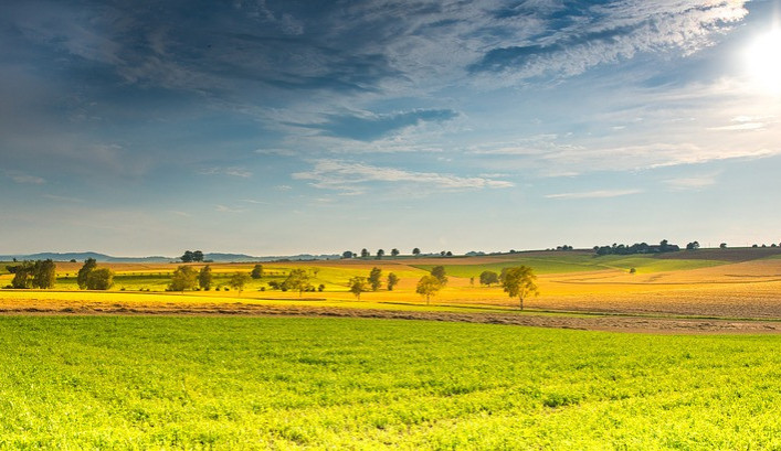 ilustrační fotografie