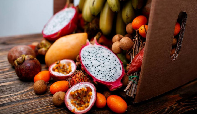 ilustrační fotografie