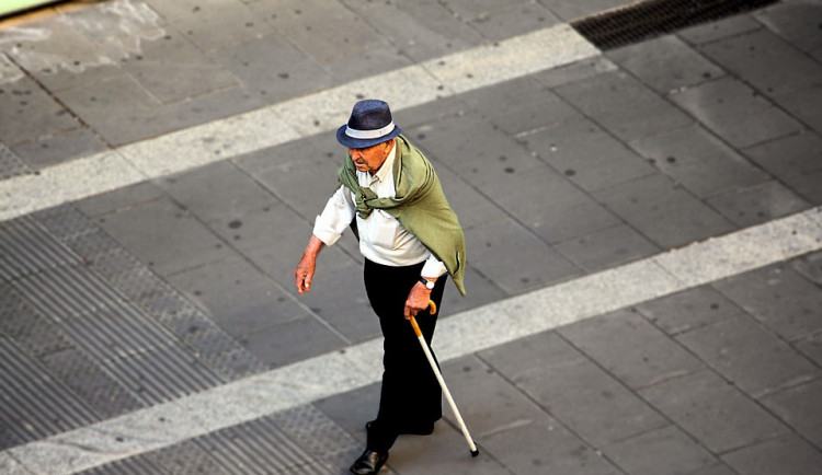 ilustrační fotografie