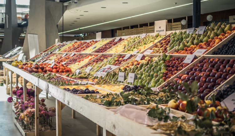 ilustrační fotografie