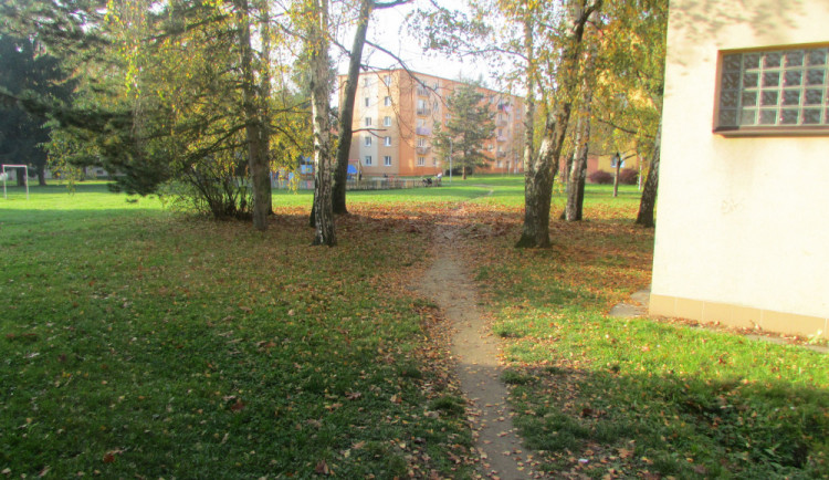 ilustrační fotografie