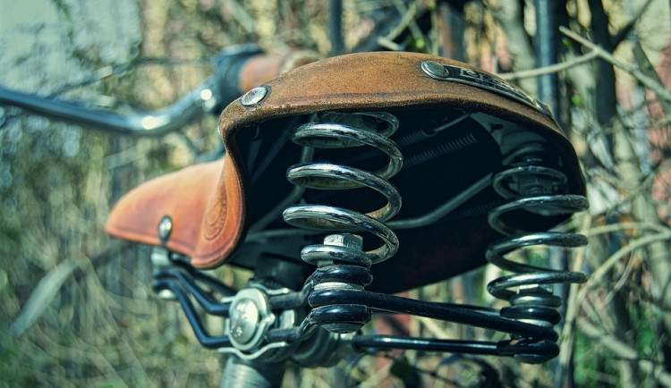 ilustrační fotografie