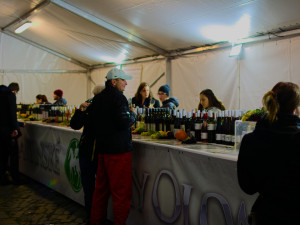 Svatomartinský stan