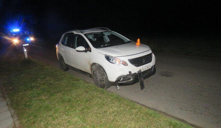 Řidiči vběhlo do cesty divoké prase, po srážce uhynulo