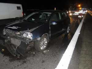 Ženě vběhl na dálnici před auto pes. Zvíře při střetu zahynulo, řidička narazila s vozem do svodidel