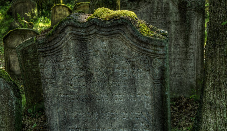 ilustrační fotografie