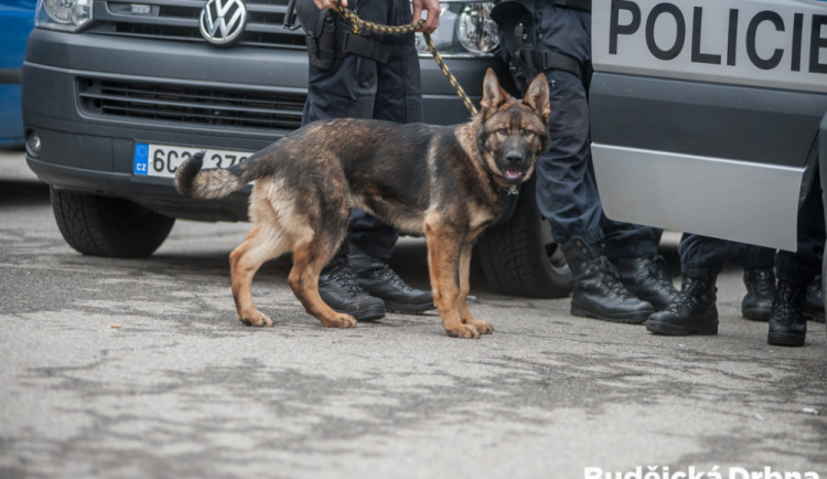Dva cizinci násilím natlačili seniora do auta, ukradli mu 1 500 korun. Kriminalisté je dopadli za dva dny