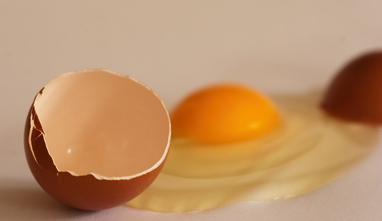 ilustrační fotografie