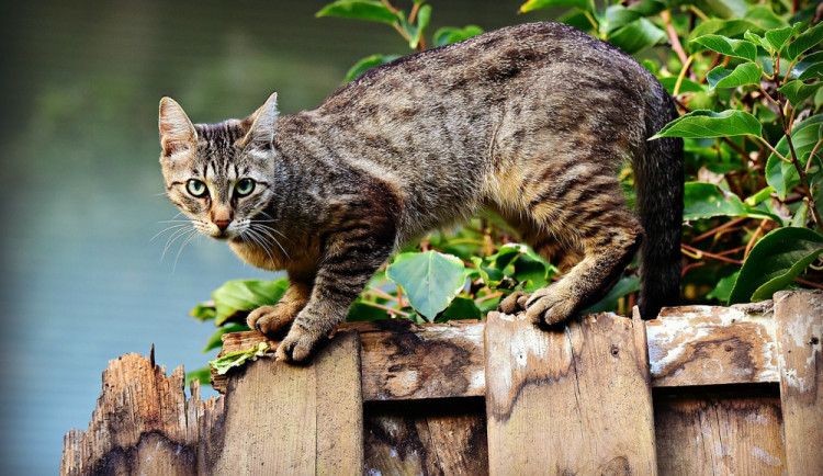 size3-15479061652926-124-cat-3846780-1280