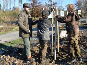 FOTO: Pracovníci olomoucké ZOO rozhodli o výsadbě nových stromů a plán hned uskutečnili