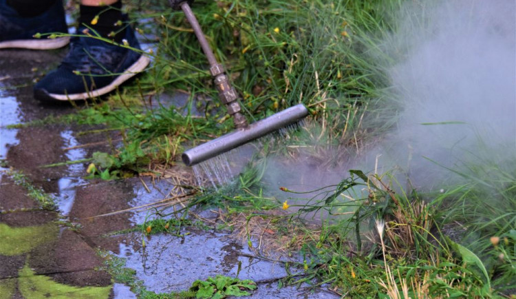 size4-15650923962332-124-dsc-0097