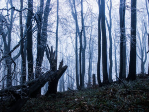 POČASÍ NA PÁTEK: Bude zataženo, místy slabé sněžení nebo déšť