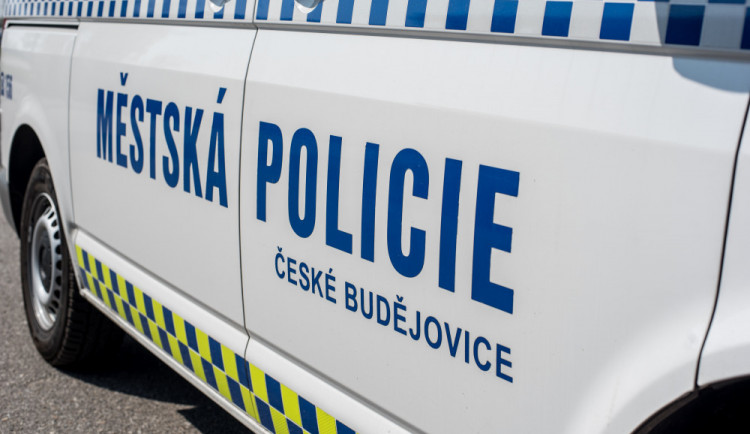 Kolemjdoucí zachránili bezdomovce, který skočil do Malše