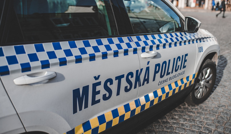 Fenka křížence před poštou pokousala muže, majitel událost odmítl řešit