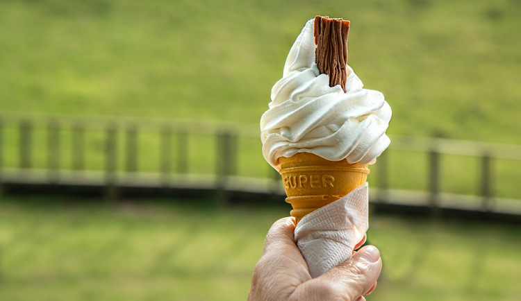 ilustrační fotografie