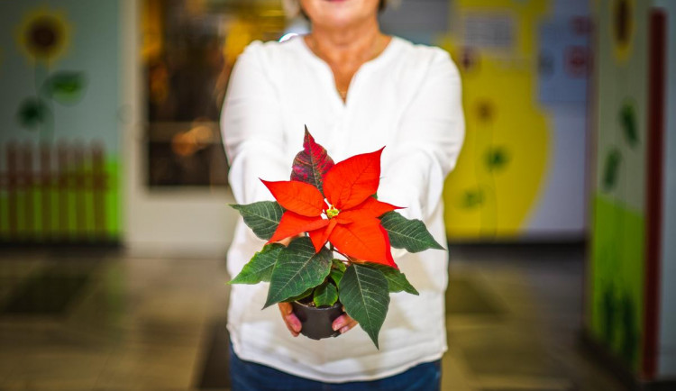 stažený soubor (1)