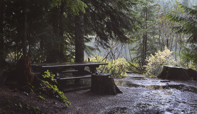 ilustrační fotografie