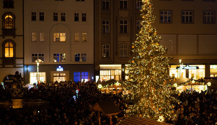 Olomoucký vánoční strom skončil v celorepublikové anketě na jednom z posledních míst