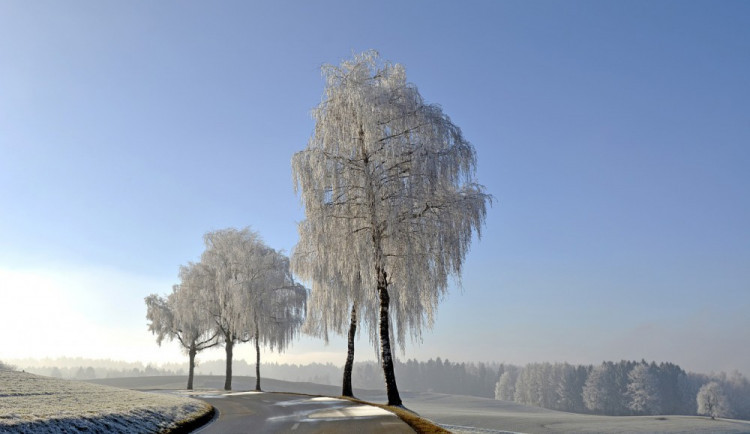 635x285-1517924341-ilustracni-foto