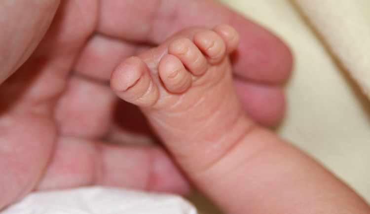 ilustrační fotografie