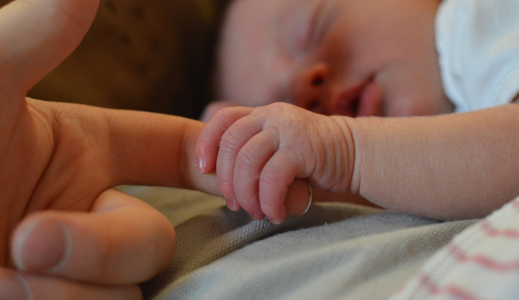 ilustrační fotografie