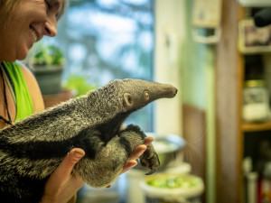 80842776_2247663842002466_3918193394492375040_n