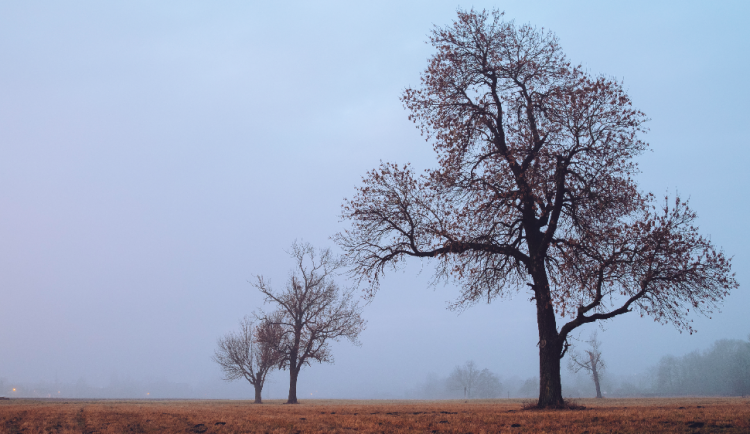 ilustrační fotografie