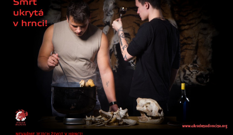 Fotografie z kampaně