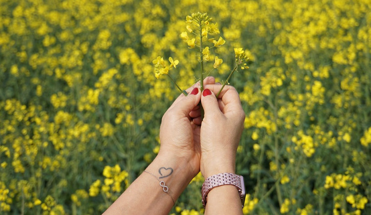 ilustrační fotografie