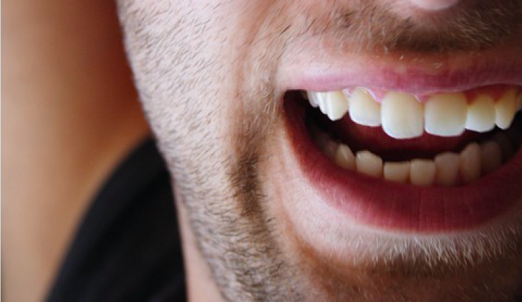 ilustrační fotografie